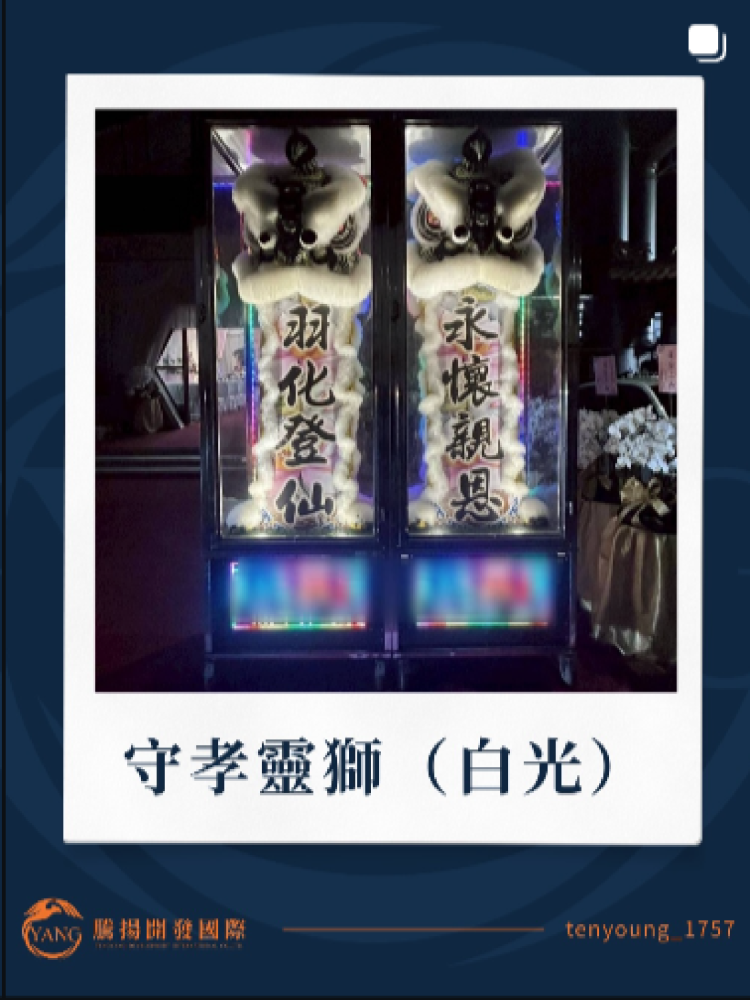 守孝靈獅(白光)